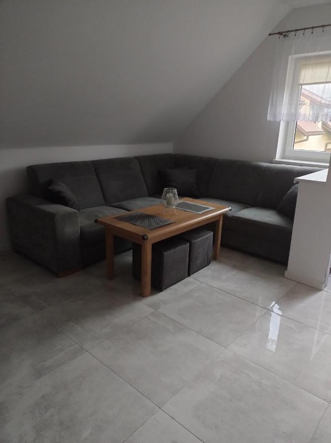 Apartment Mieszkanie A Lowiczki